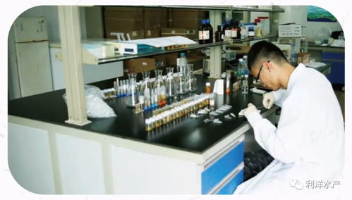 系统检测与精准服务 让水产养殖更可控、更安全的智慧监控之道